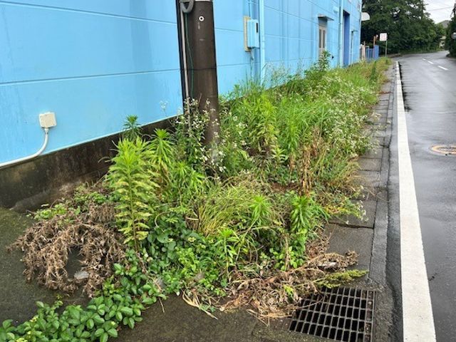 【柏市】最短即日対応可能です！損害保険加入済み◎