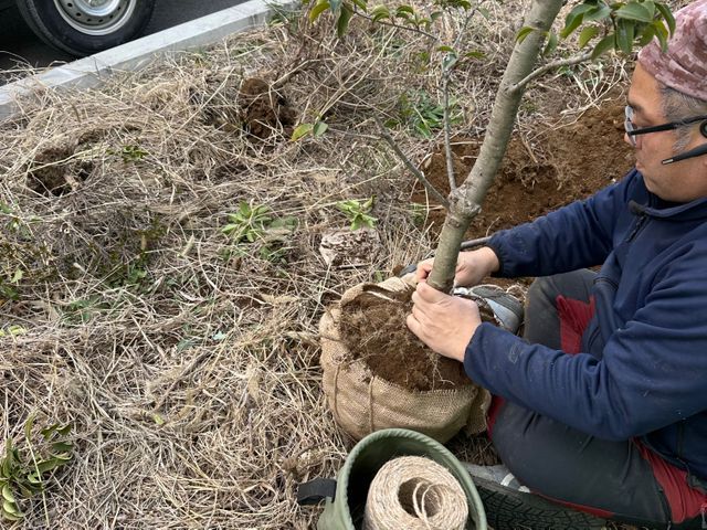 お家の植栽の植え替えまかしてください！