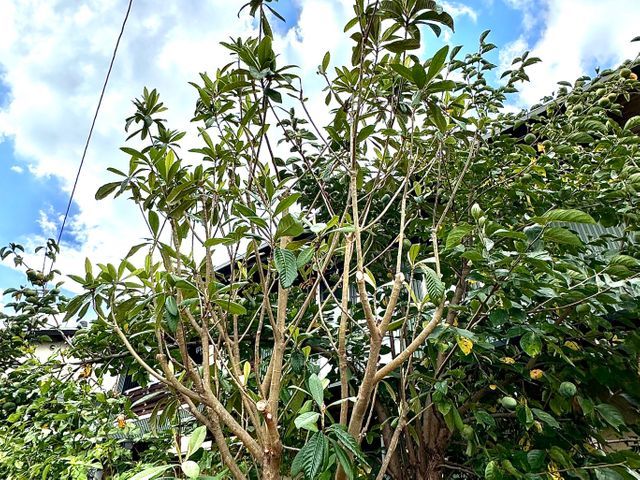 スピードより丁寧さ重視。1本からでも喜んでお受けいたします