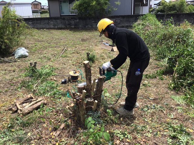 庭木の伐採、抜根承ります！