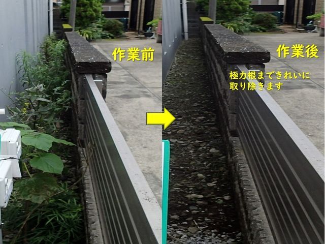 ◎10年の実績◎造園技能士◎損害保険加入◎継続して選ばれる仕事をご提供