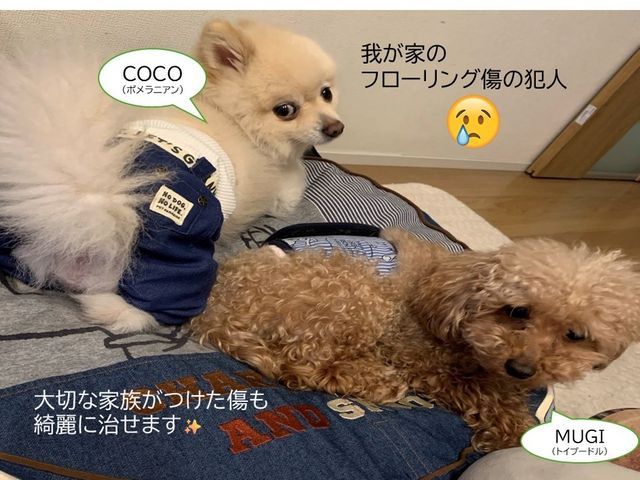 大工経験の職人が対応！丁寧な仕上がりにこだわった住まいの傷直しサービス