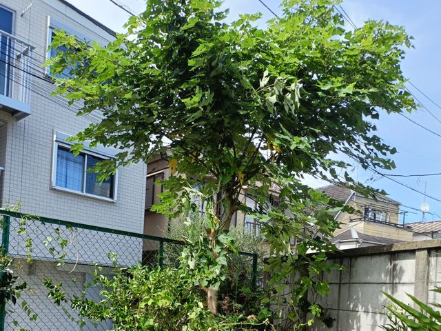 お客様のお力になります！経験と知識を活かして迅速丁寧に作業いたします