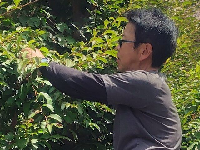 【8月出店】実績1000件突破！植物愛好家店長が叶えるお客様理想の仕上がり