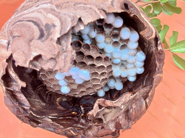 ◆◇10月新規出店◇◆経験16年の職人がお客様のご希望に寄り添う◎