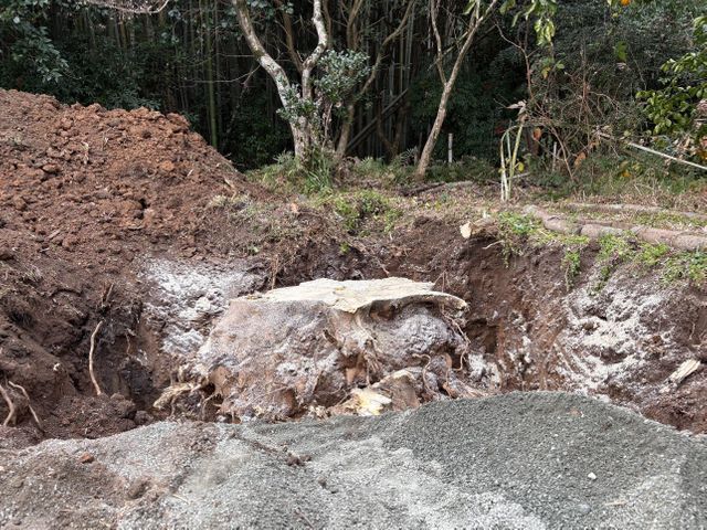 お客様の手足となって動く、丁寧な庭木の伐採・抜根サービス