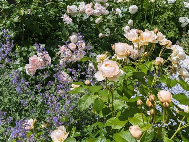 お客様の大切なお庭を丁寧に仕上げます！