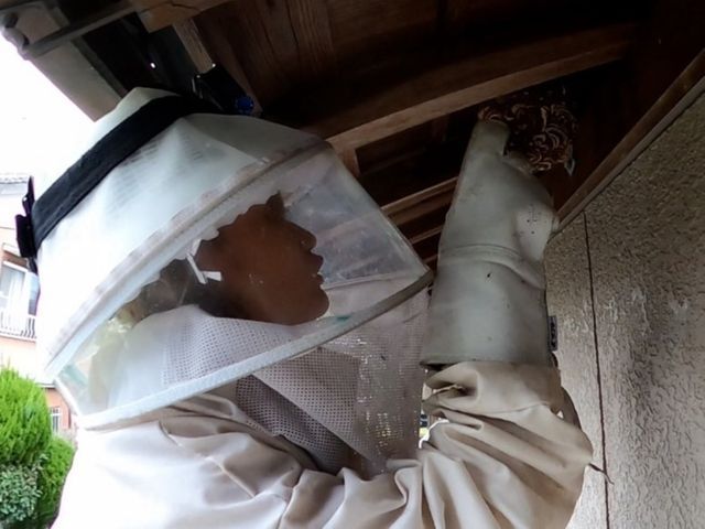 【環境省の認定事業者】害虫駆除専門のスタッフが対応致します！24時間対応可能です