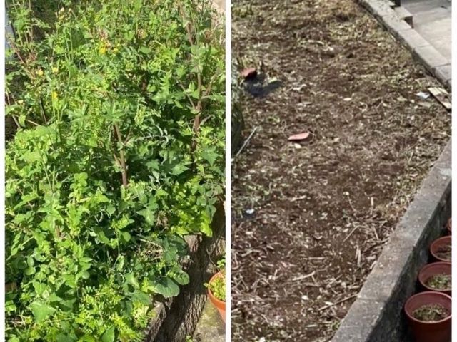 お客様のご要望を最優先！実績多数！！丁寧にスッキリさせます。地域密着で安心☆