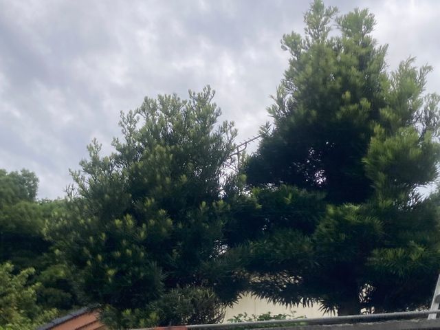 女性スタッフもおります。ご希望の方はお気軽にお声かけください♪