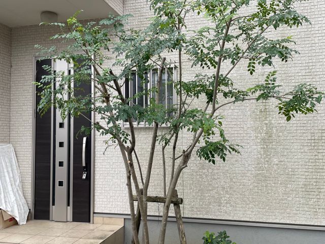 低木から松の木まで幅広く対応いたします！お気軽にご相談ください！