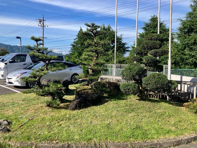 低木から松の木まで幅広く対応いたします！お気軽にご相談ください！