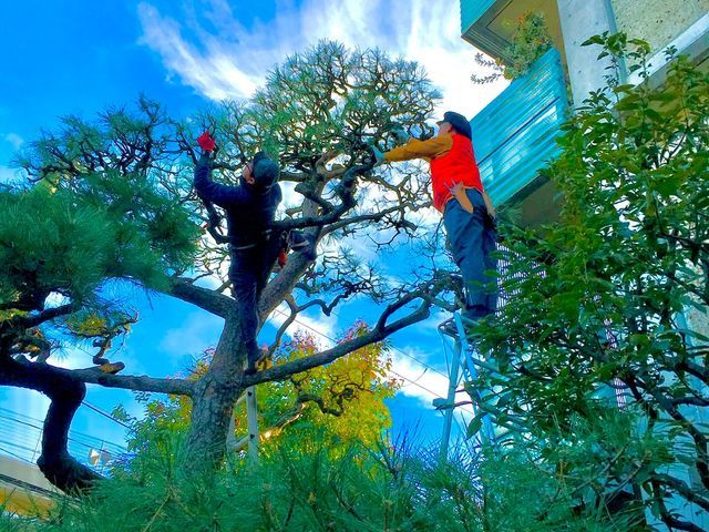 ◤兵庫県芦屋市で15年の実績◢ どんなことでも即対応させていただきます！