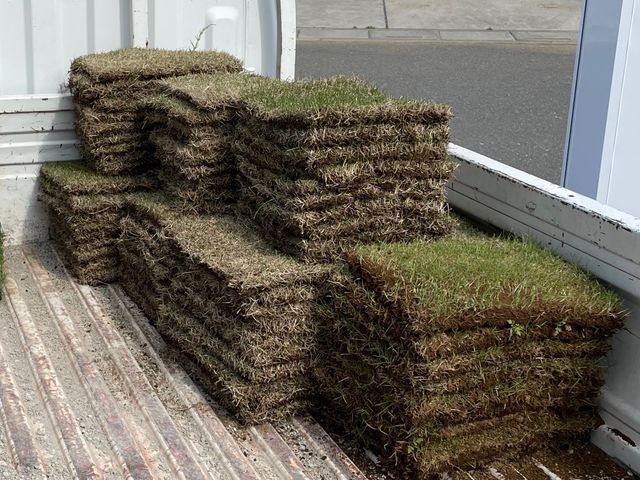 お庭を天然芝へ