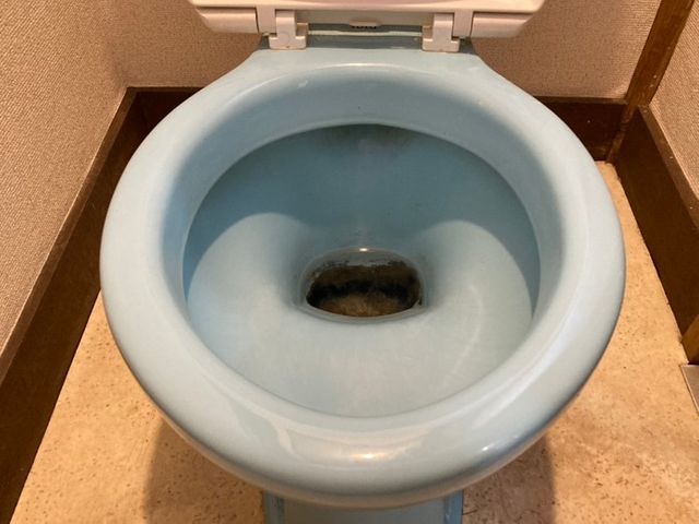 上場グループのフランチャイズ研修で習得した、確かな技術力