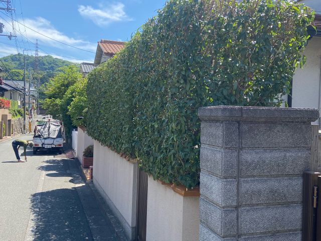 20年の経験◎庭木の美しさを引き出すプロの技◆