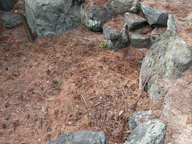 【緑を撲滅します】＊2名作業＊手作業ならではの丁寧な作業＊若い作業員＊準備不要