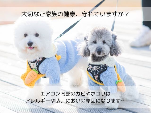 【1月予約受付中】夫婦でお伺いします◎安心安全の損害保険加入済！法人企業です♪