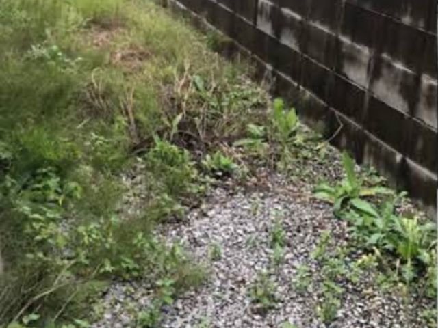 ★どんな場所でもOK★リピーター続出の丁寧な手作業による草むしり！