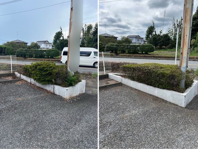 植え込み、生垣の剪定