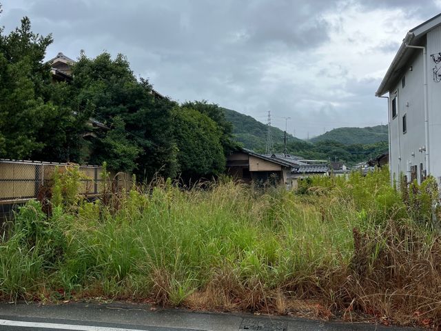 刈払い機での雑草の草刈り、処分を行います。お問い合わせ下さい。