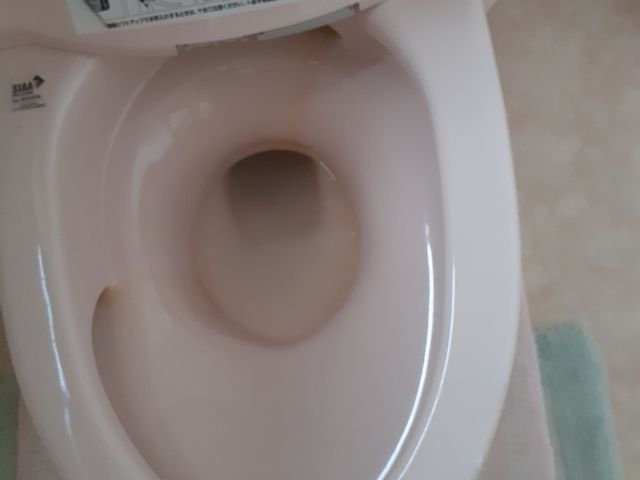 【五泉市】損害保険加入済み◎作業にご不満の場合は無料で追加対応も行います！