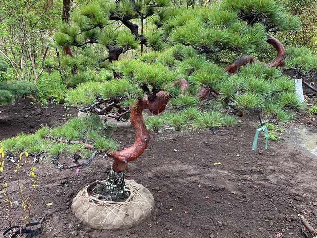 丁寧なコミュニケーションで、お客様の理想のお庭づくりをしっかりサポートします。