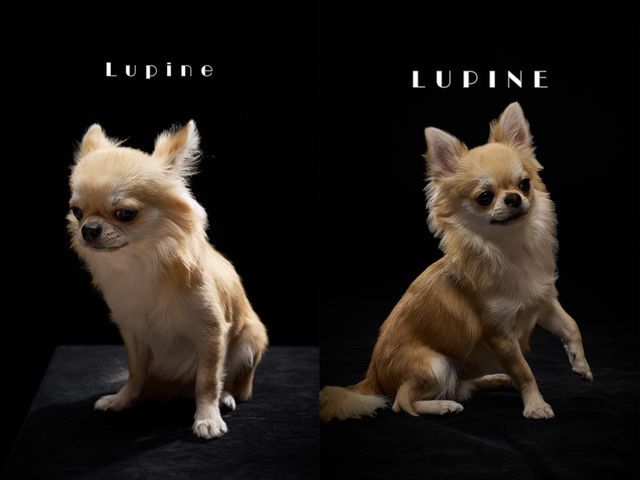 スタジオ代込！プロの技術でご満足いただけるように心を込めて作業いたします