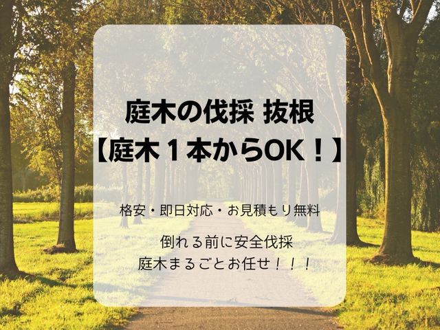 【庭木1本〜OK！】格安・即日対応◎倒れる前に安全伐採◎庭木まるごとお任せ！