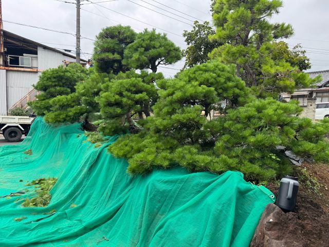 ◆◇1月新規出店◇◆創業70年・3代目が丁寧にお伺い！想像以上の仕上がりを実現◎