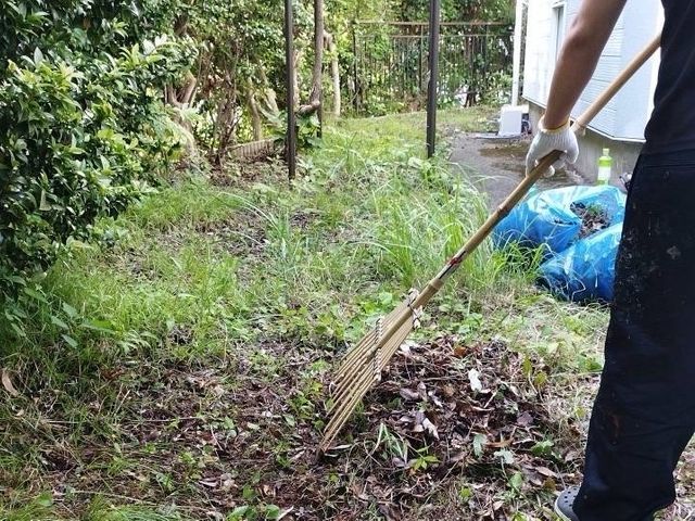 落ち葉の清掃