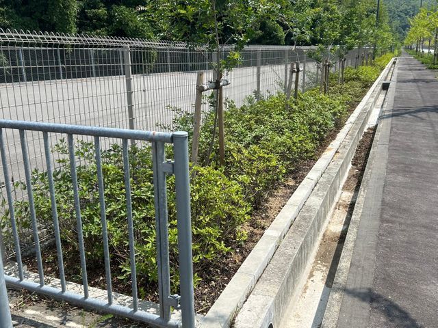 大手での豊富な経験を活かし、お客様一人ひとりのご要望に寄り添った丁寧な対応