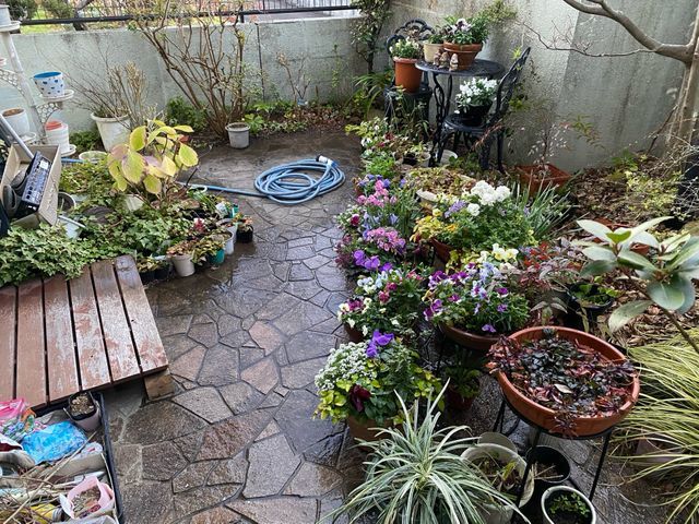 不在でも対応可能◎お庭・畑など水やりお任せ下さい