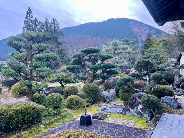 日本庭園から大木の剪定まで、実績経験と安全作業でお客様と植物の良い関係づくりを！