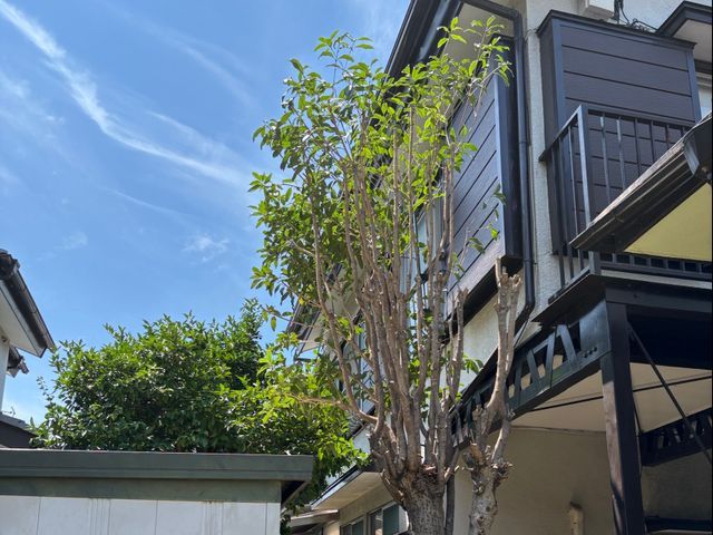 一本からでもOK！　お気軽にご相談ください。