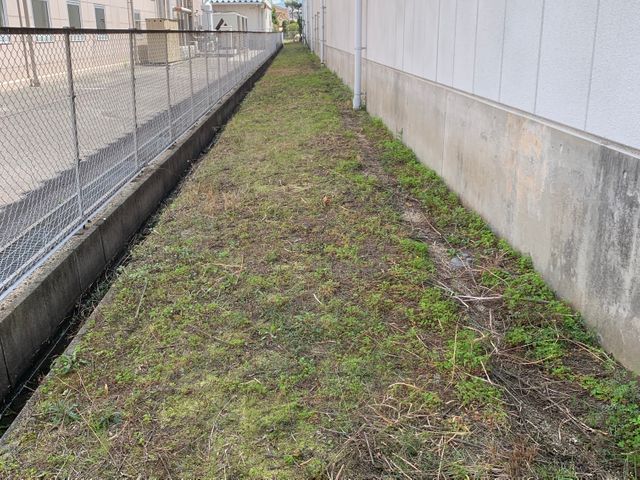 刈り取りから処分まで一括対応！営業時間外・地域外も柔軟に相談可能で安心