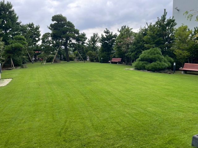 芝生施工をわかりやすく丁寧に、仕上がりまで寄り添います