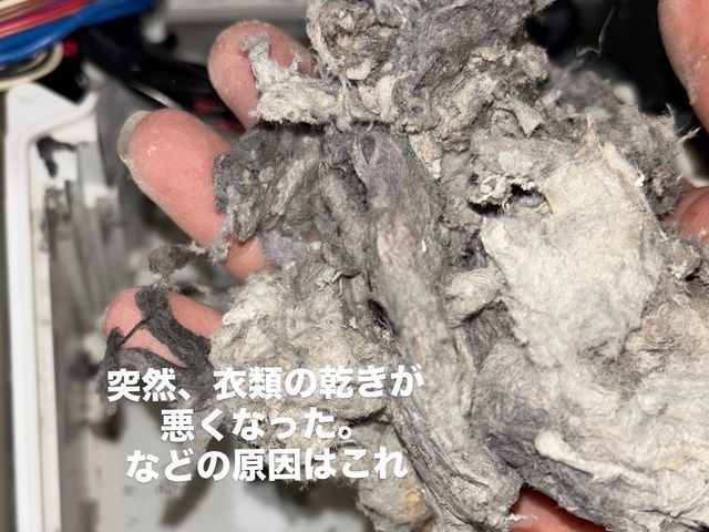 「日本洗濯機クリーニング協会加盟」クリーニングのプロがやるドラム分解クリーニング