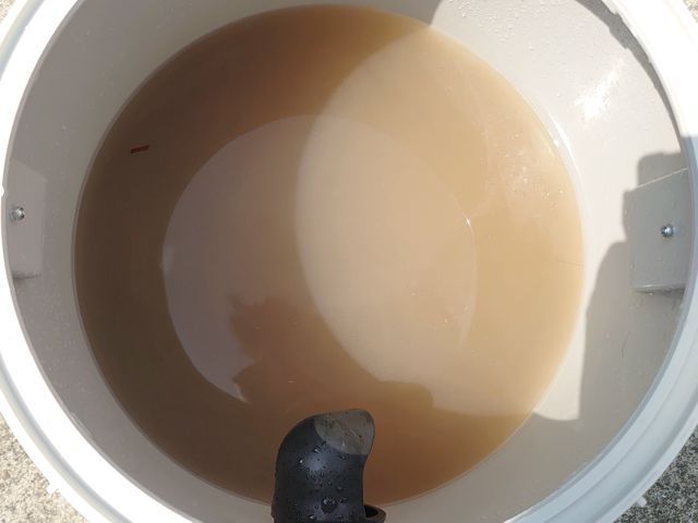 【猫好き★秋田出身25歳】アルカリ電解水とお湯だけ★PayPay他にも対応