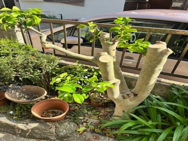 お客様のお力になります！経験と知識を活かして迅速丁寧に作業いたします