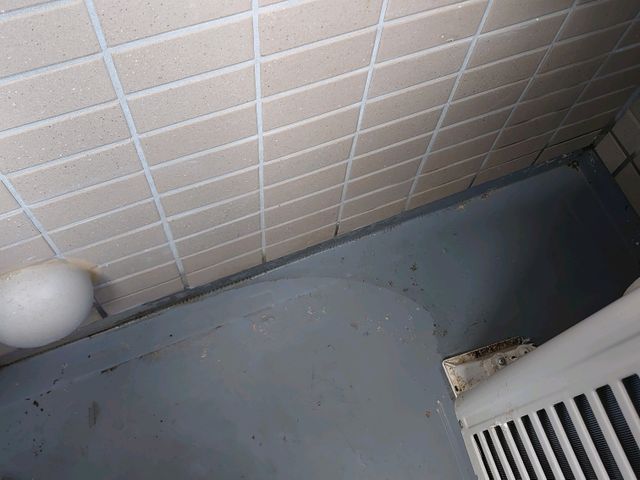 害鳥の糞を完全除去！W除菌、消臭込み。常に研究している害鳥一筋対策専門会社です。サービスの画像