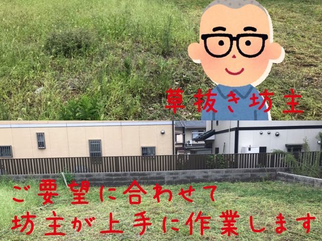 冬季割引特別料金 地域密着 低価格 雑草に負けるな 見積もり無料 地域密着 低価格 ともぞう企画の草むしり 手作業 くらしのマーケット