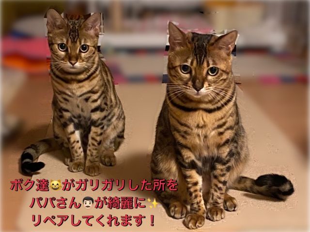 【建築のプロが直接対応】◎構造と材質を知り尽くした店長による補修サービス◎