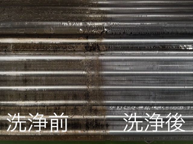 【茨城・栃木 2拠点発】丁寧に手の届かない所キレイにします！損害保険加入店