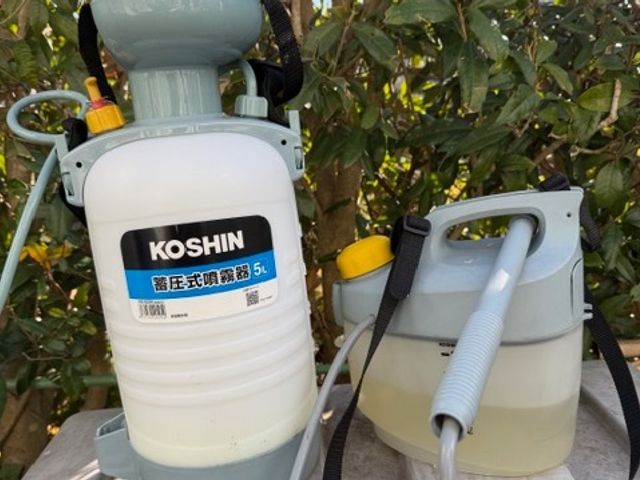 毛虫予防薬、チャクドガ駆除薬、散布します。