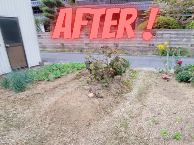 【岡山市東区発】木を切るついでにお庭の悩みも切っちゃいましょう！