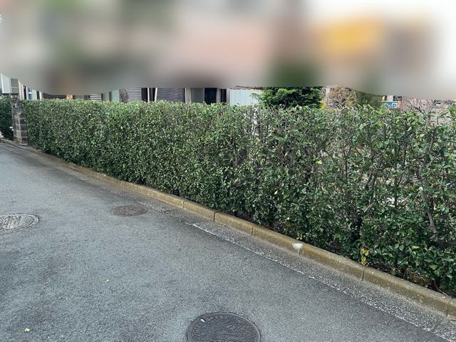 地域密着！経験10年以上、2級造園施工管理技士による植込、生垣剪定