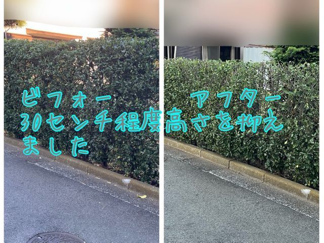 地域密着！経験10年以上、2級造園施工管理技士による植込、生垣剪定