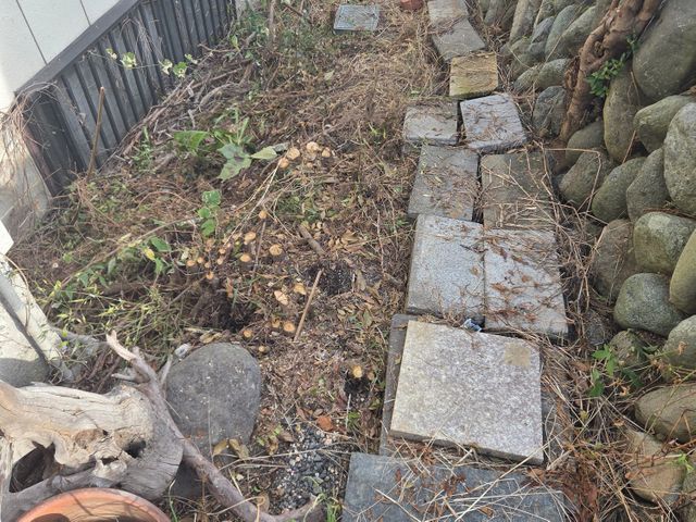 草刈り機を使っての草刈りです！