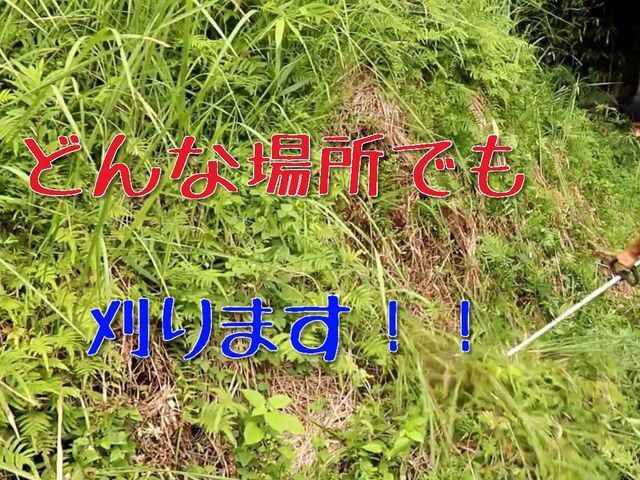 剪定、伐採、抜根の組み合わせ可能です！